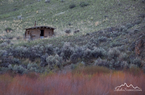 Idaho, East Central, Salmon, North Fork. An old log cabin seen across the Salmon River at Colston access.